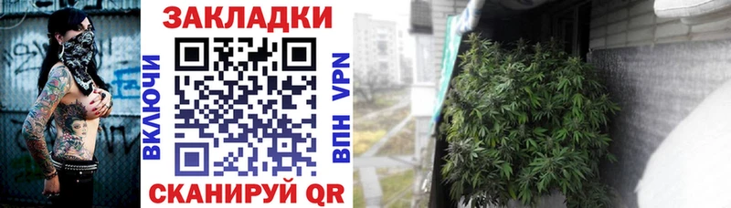 Где можно купить наркотики Грайворон Cocaine  Псилоцибиновые грибы  Меф мяу мяу  Alpha PVP 