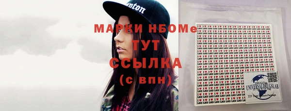 прущий лед Алзамай