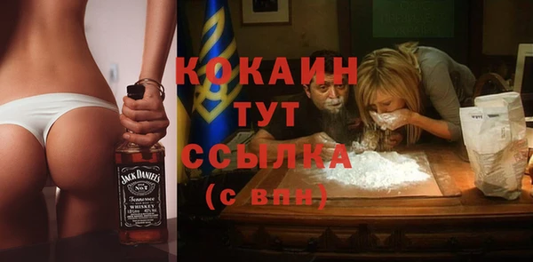ешки Алексин