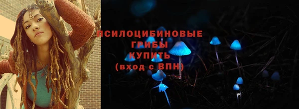ешки Алексин