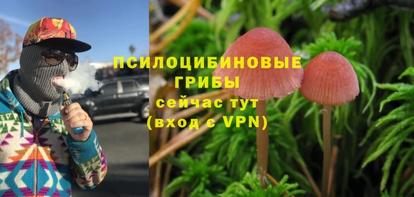 прущий лед Алзамай